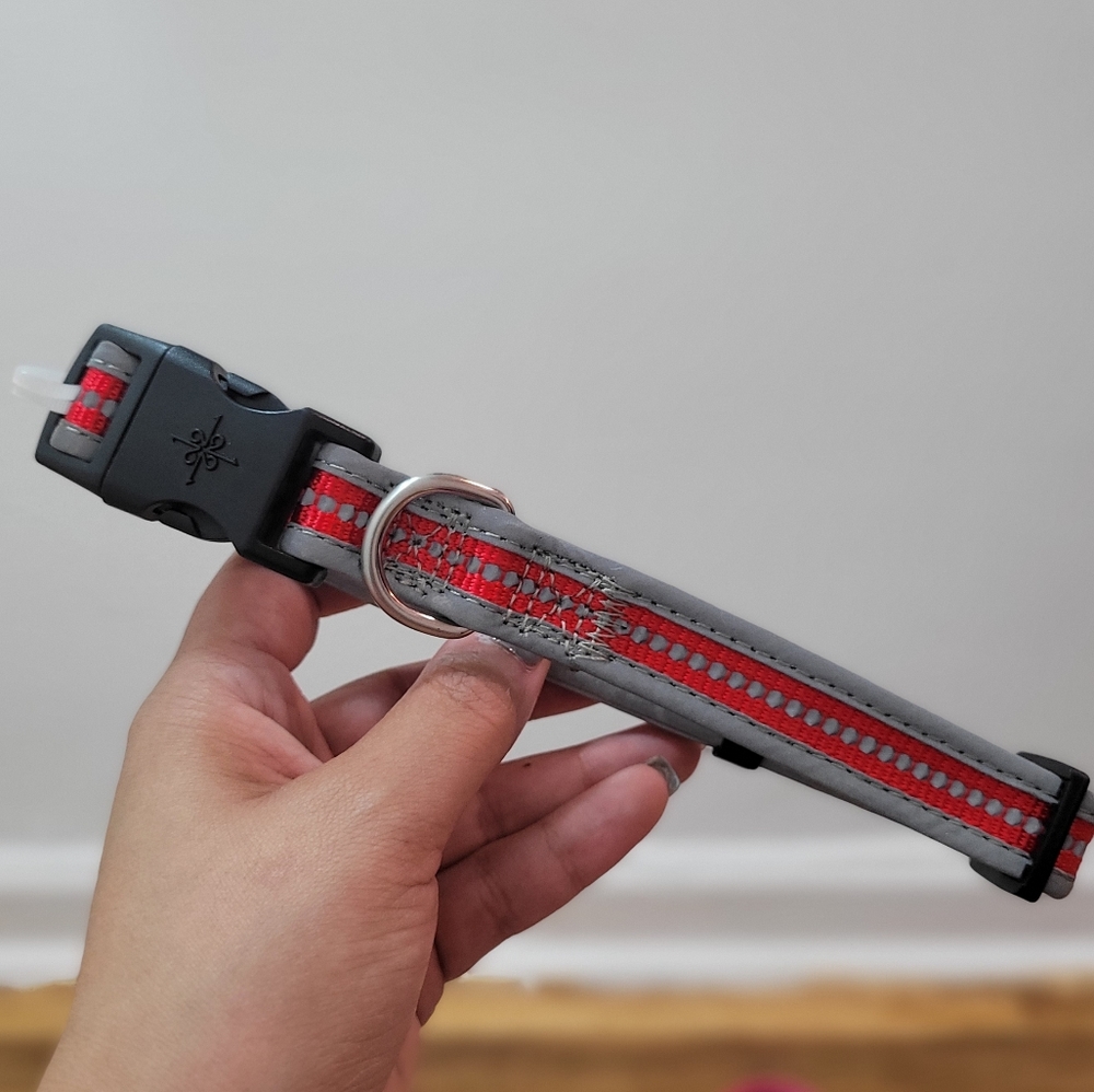 NWOT reflective collar